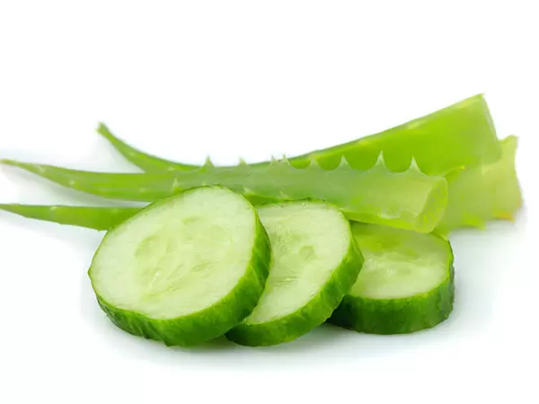 Cucumber and Aloe Vera